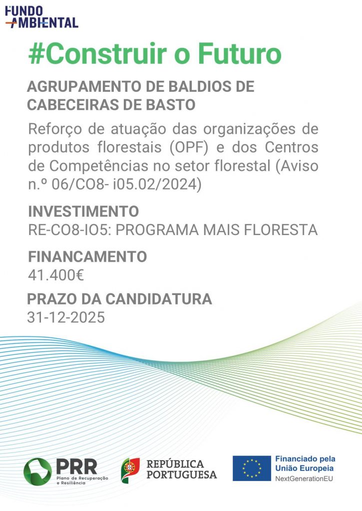 462118069_574417571841358_5395189054670053276_n