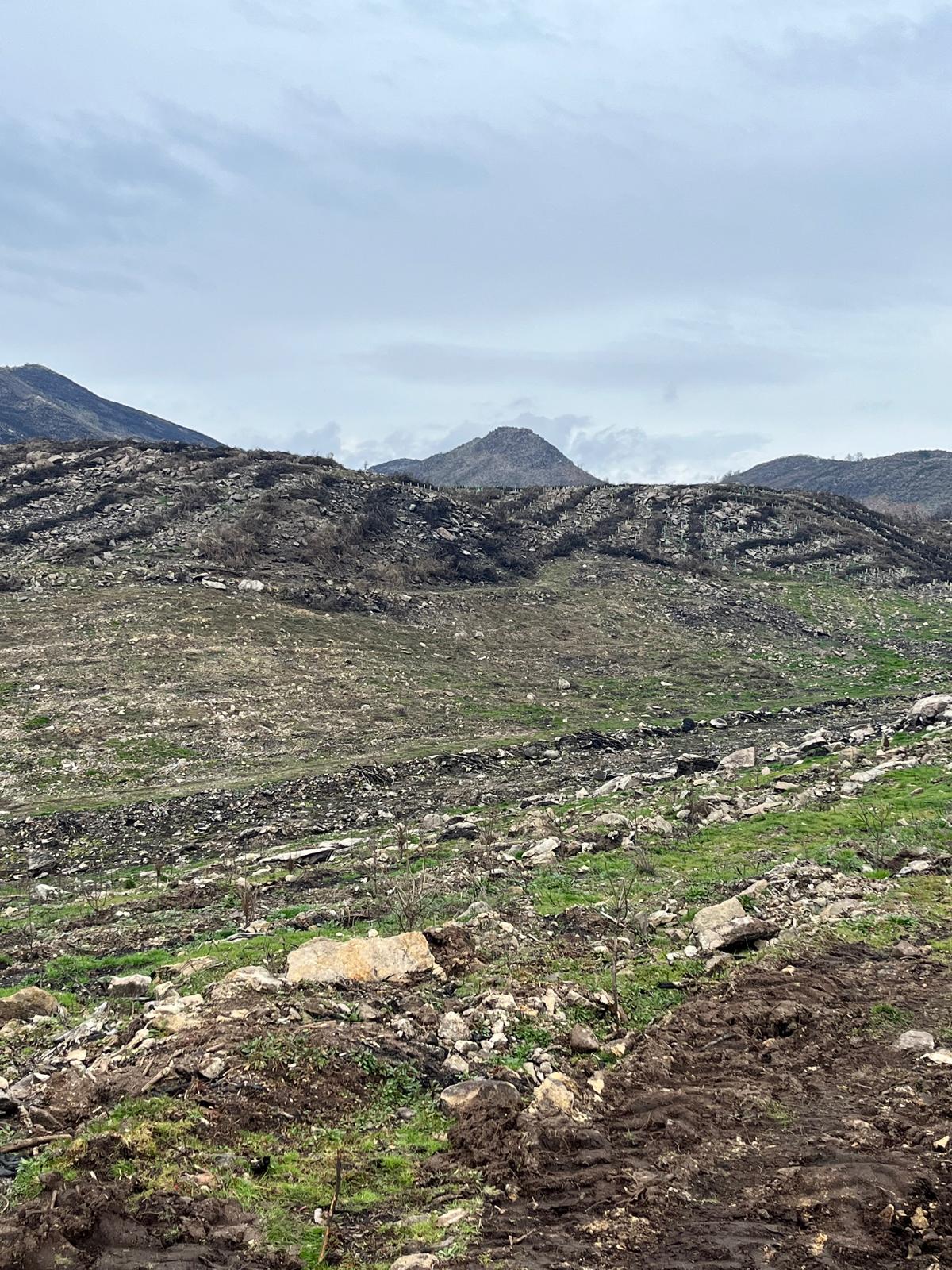 09e3acae-7fef-47fb-bf35-6313ac6b0f89