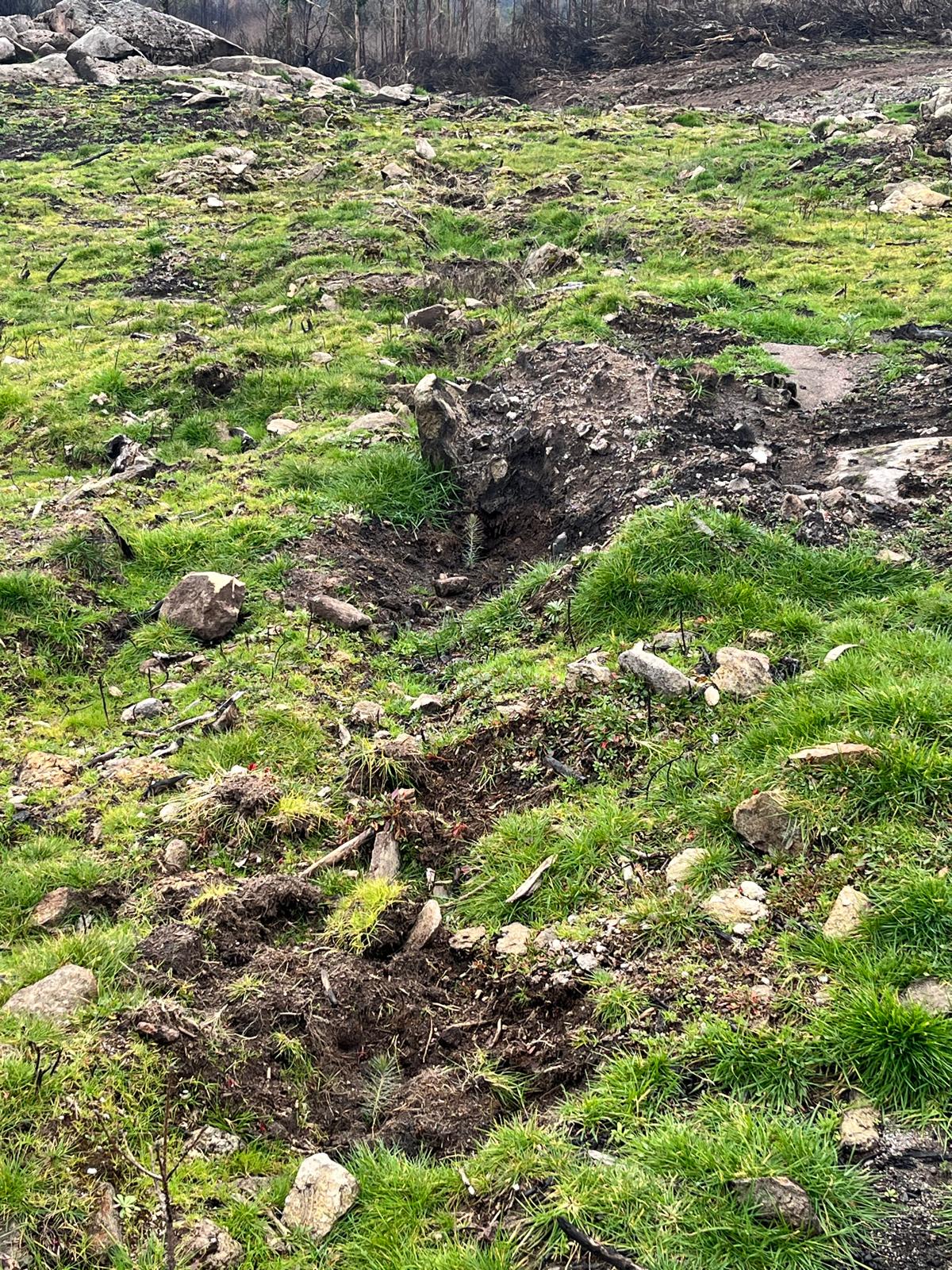 16be2402-eb1b-44f3-aea5-7add32314c8f