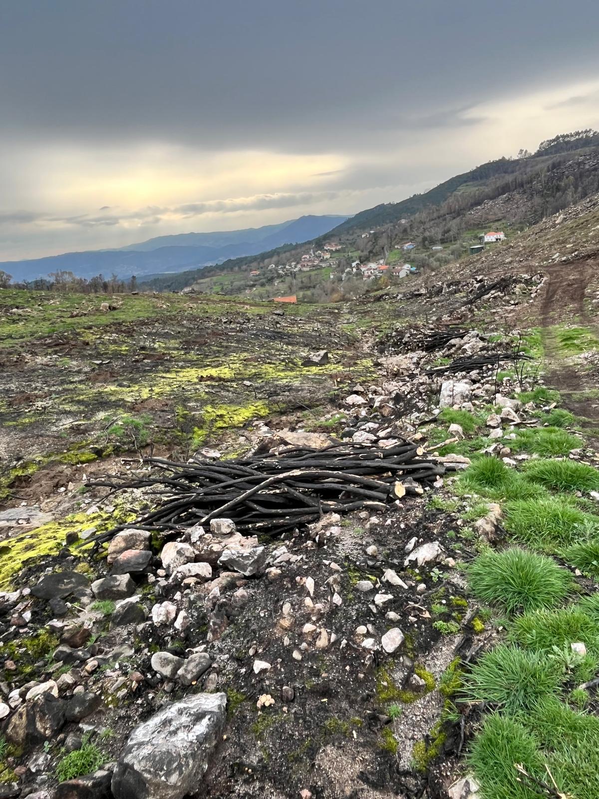 a9fbc31d-d0cb-42b3-b37c-9b4caaf17e30