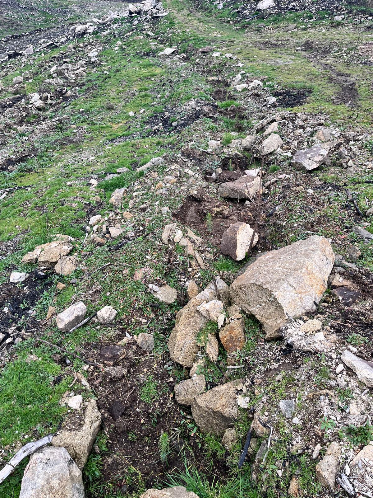 c5cac24f-4043-46ed-8432-7796159a651a