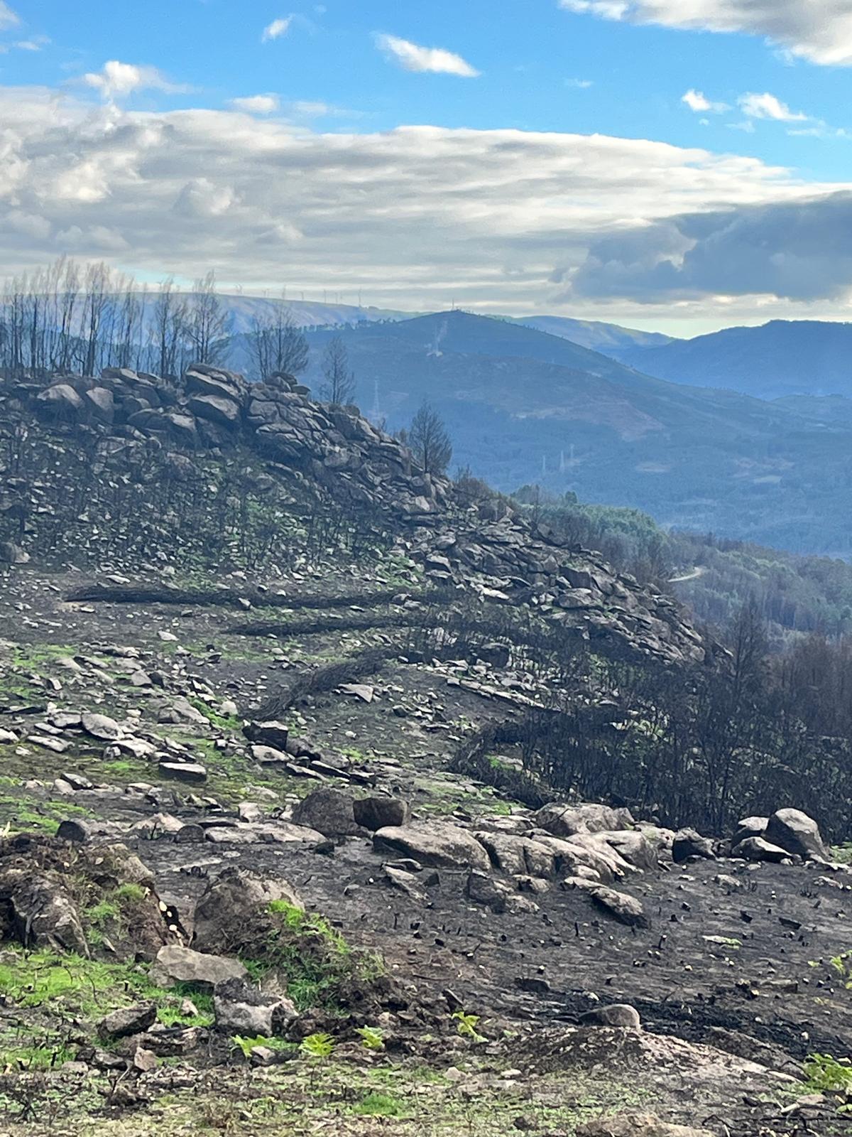 17485149-46be-43e3-a315-6f301aa3a431