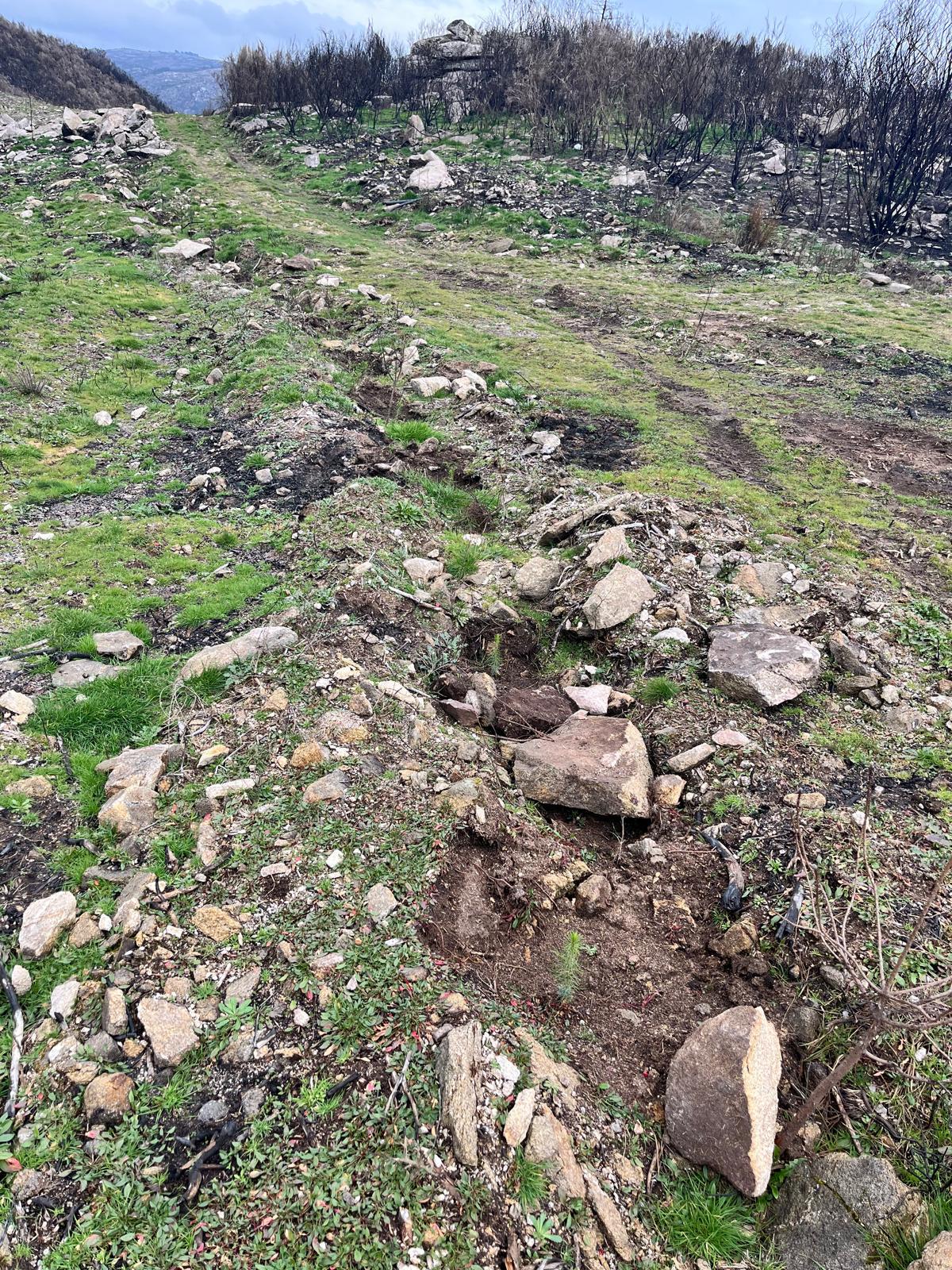 239d45b8-8904-4eec-8dd5-1cb5209171b8