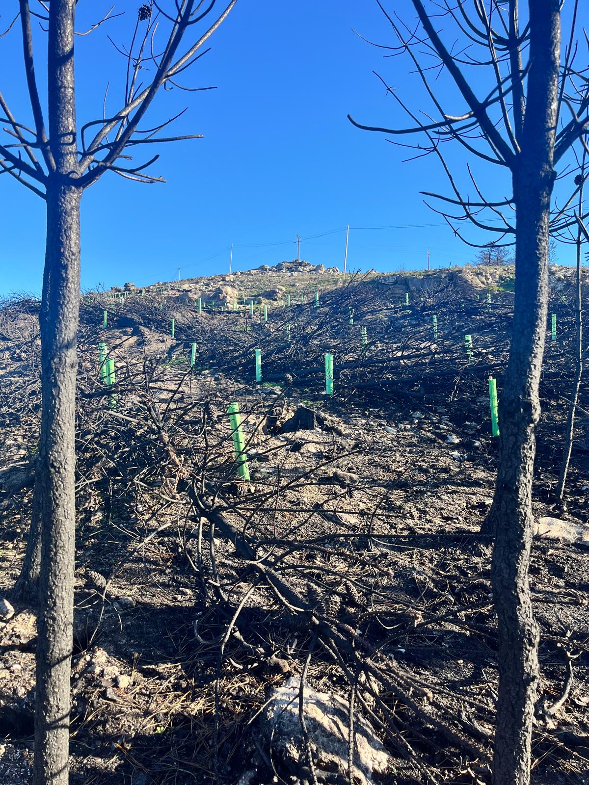 3ca684d8-0ce6-44a1-a0de-02fee72a96de