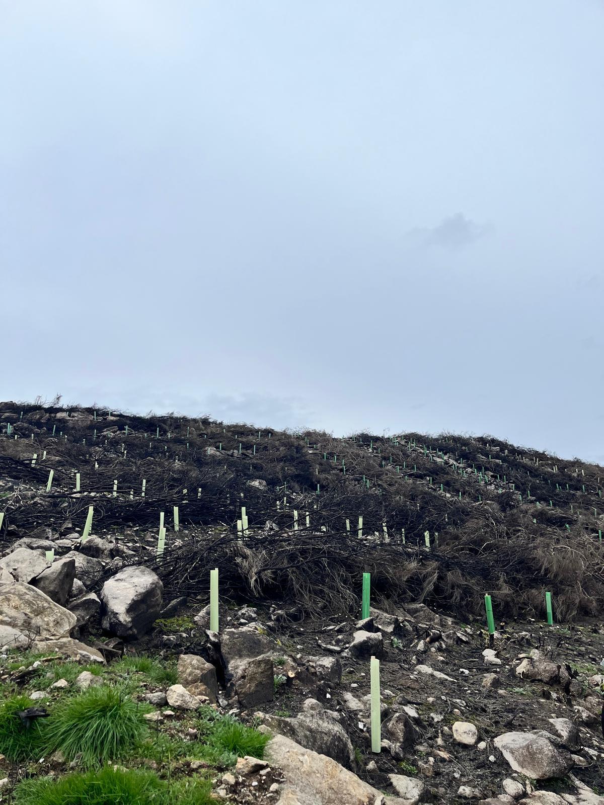 816a90b8-2ab4-422f-90e6-a03b0065ade1