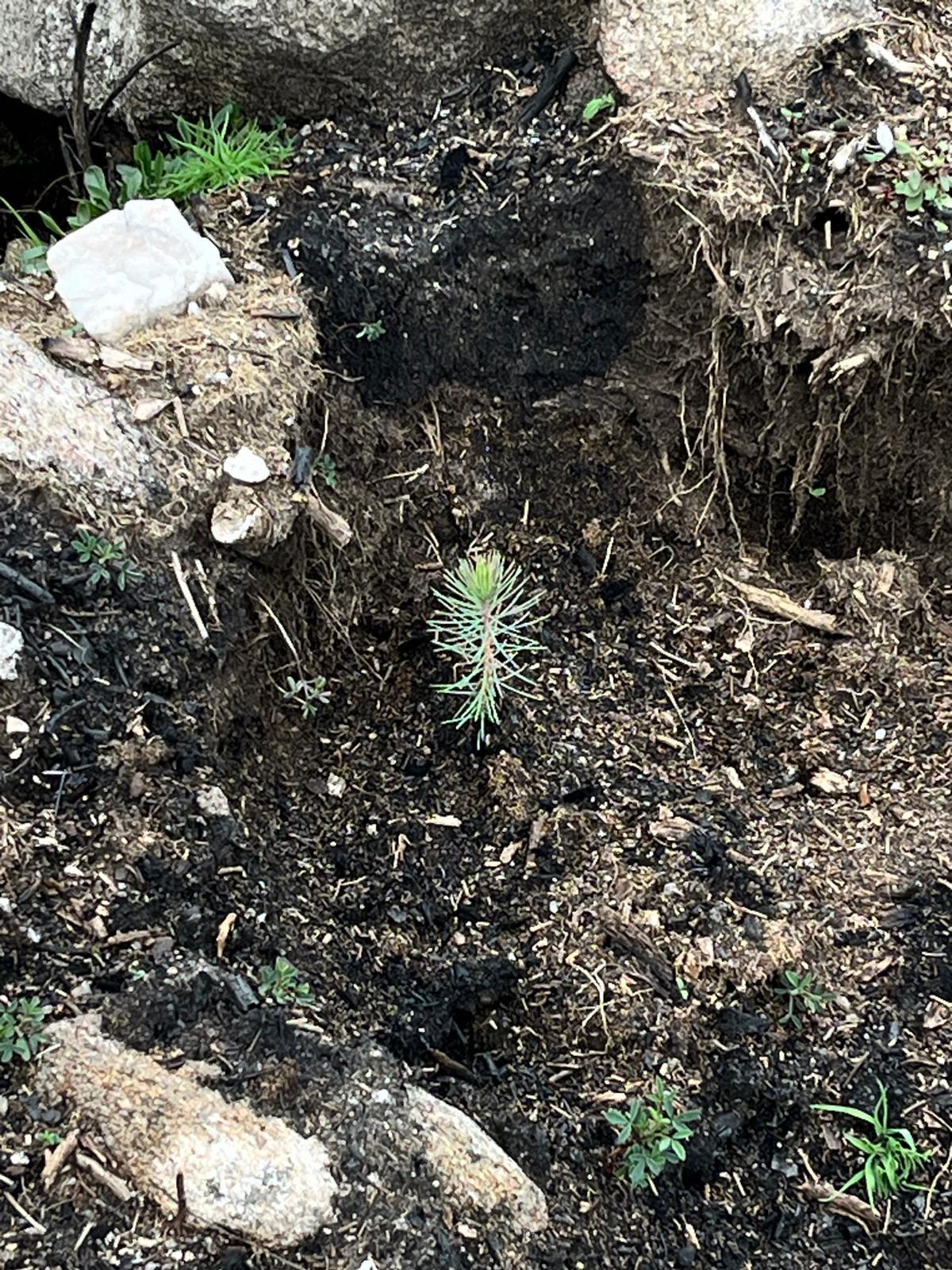 9b995702-2858-4898-9c93-90ae6a72e89c