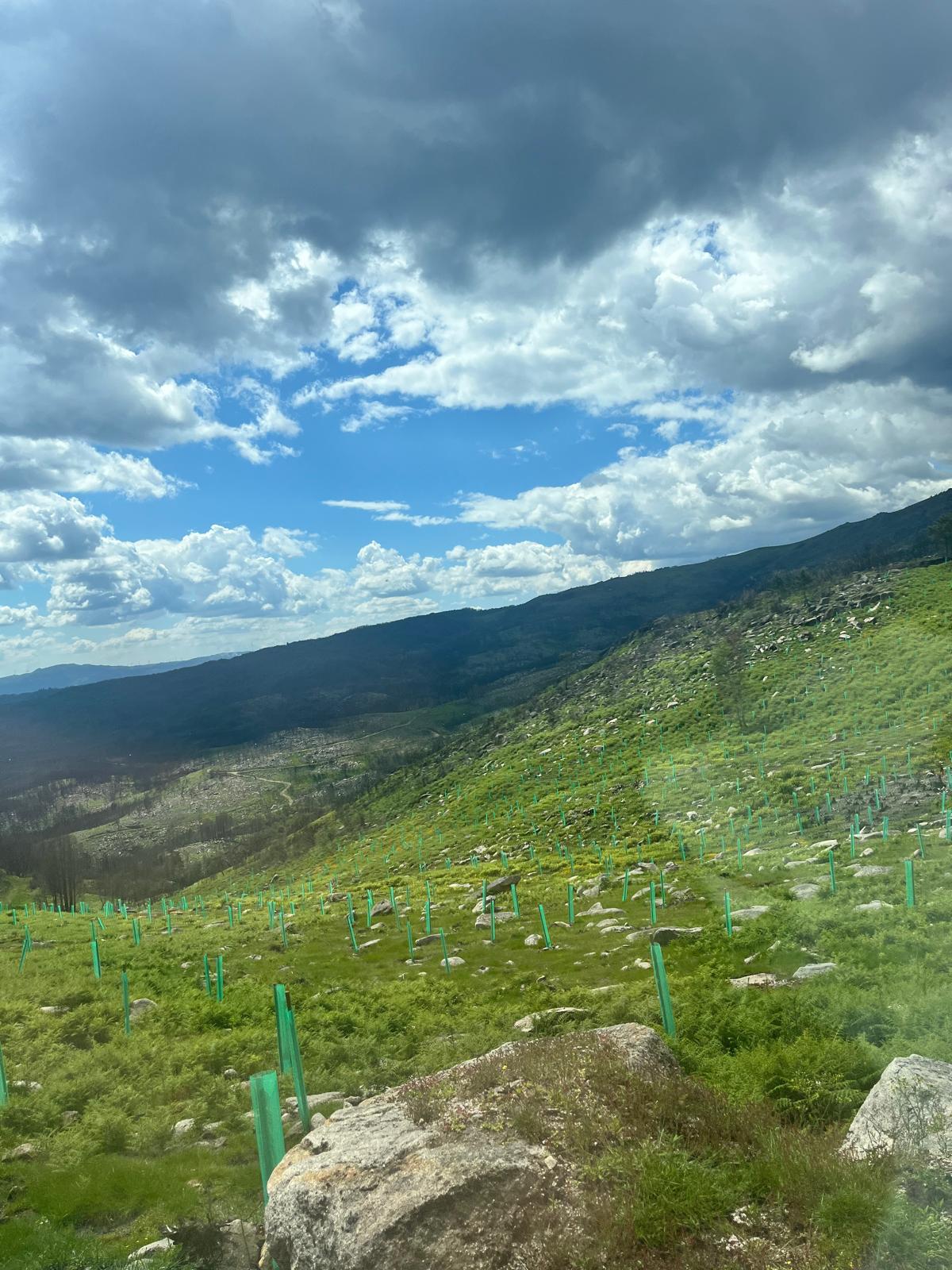 a76facb6-0387-413c-aabc-9d04573007f2