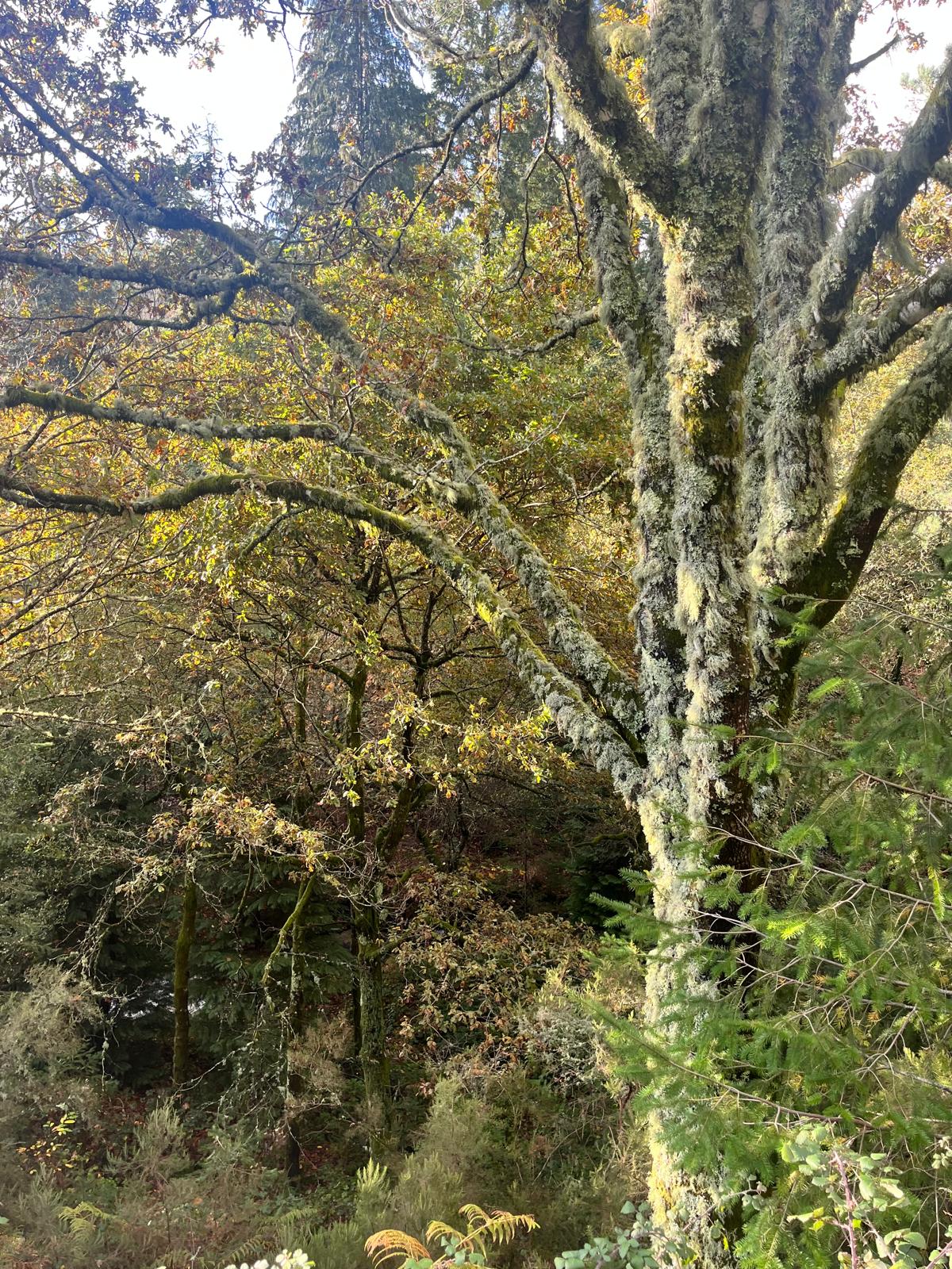 WhatsApp Image 2025-11-18 at 16.40.07