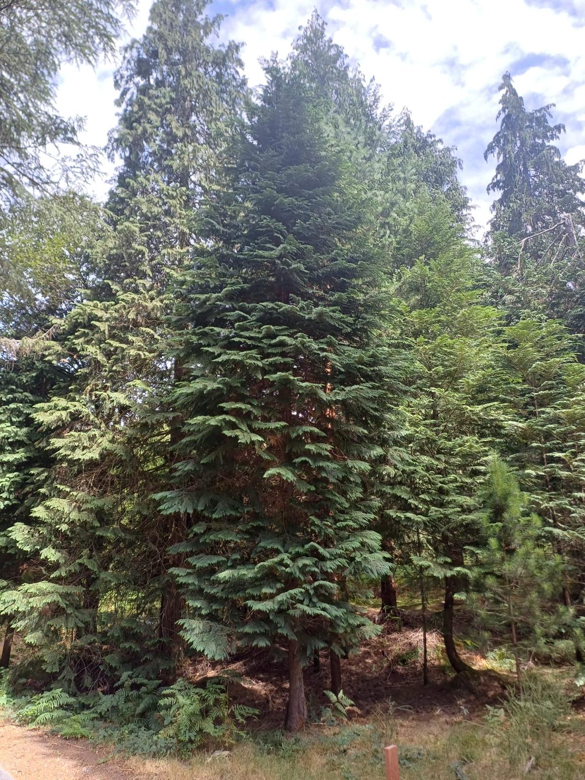 66c78bfa-e1a1-42a2-9868-7f68457f0be1