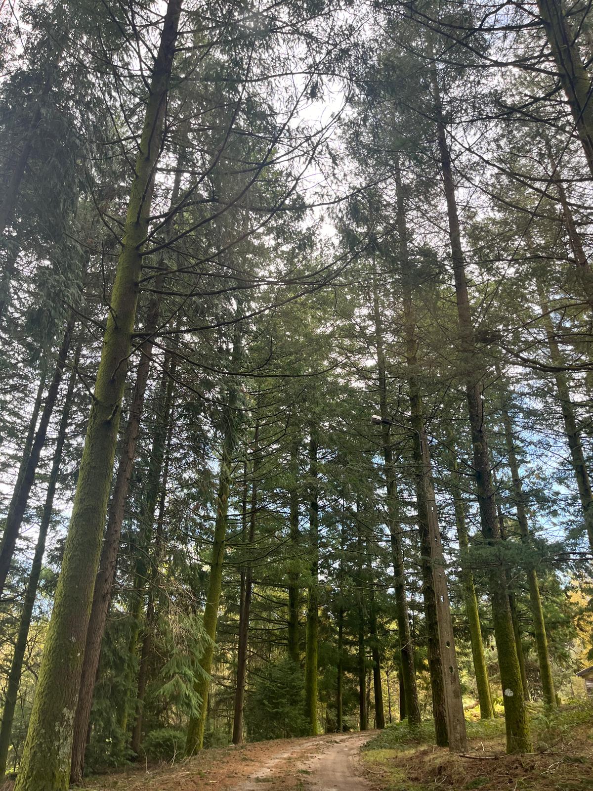 6a116601-57b1-420b-8671-b6c344f2a583