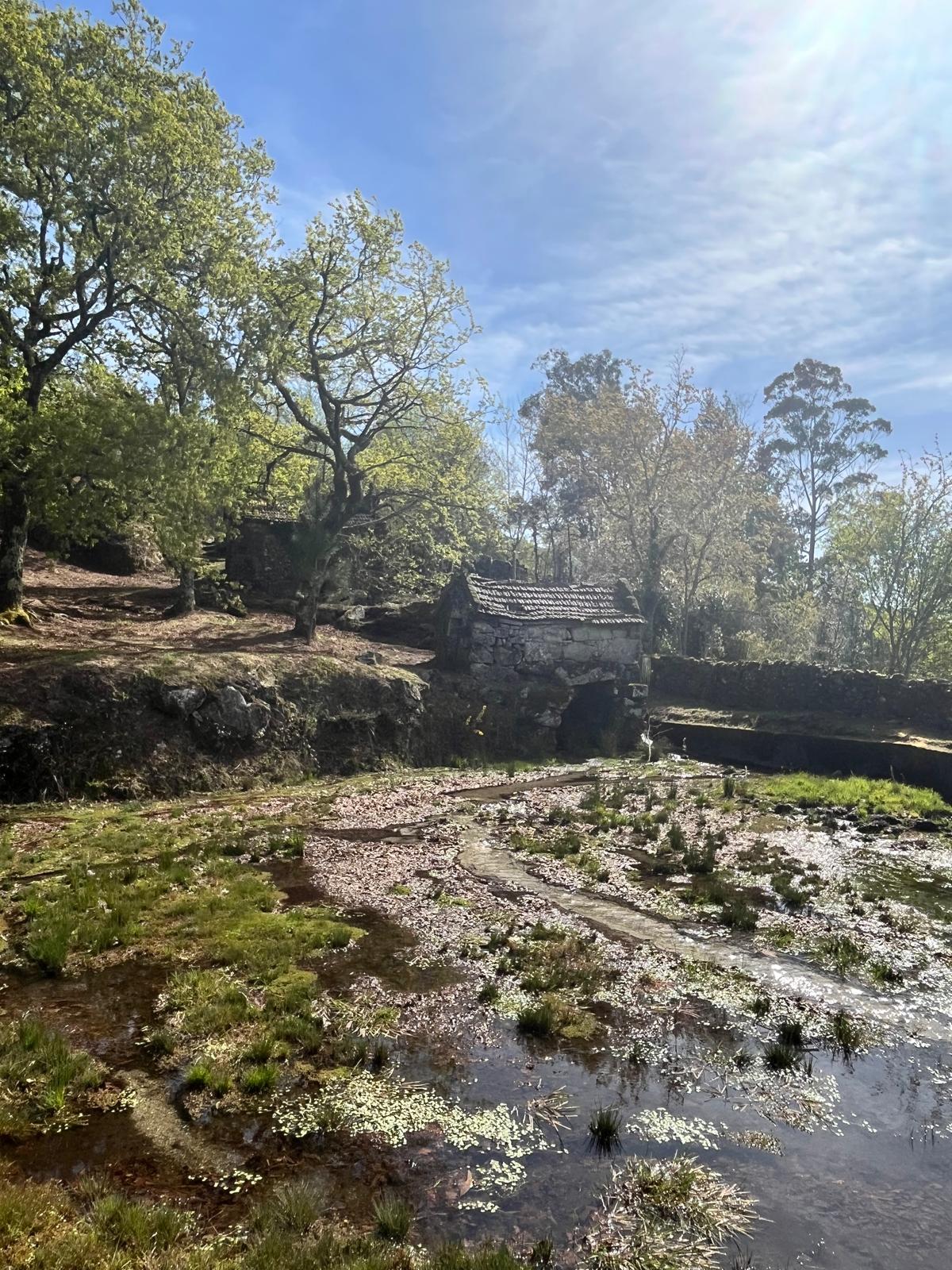 93b390cf-dea1-40cb-88f8-4e78cb8b03ba