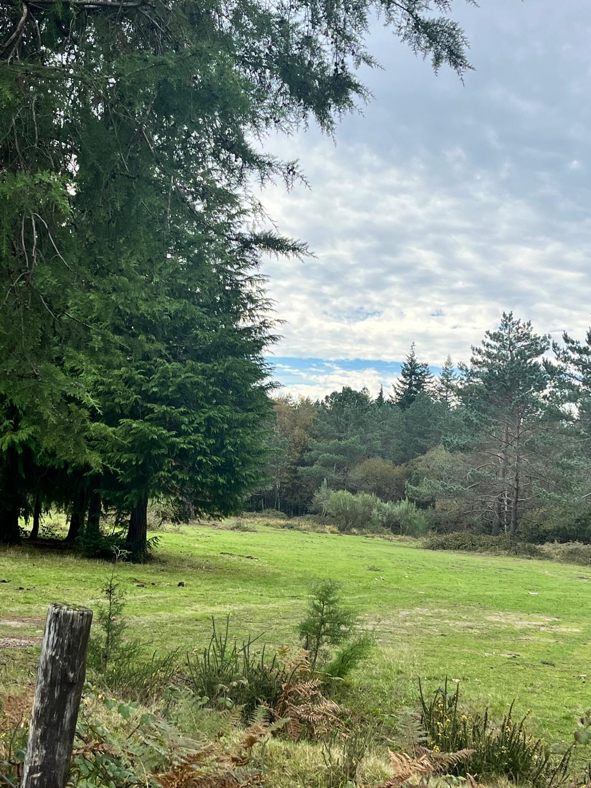 a8ef6e40-4253-4410-8635-9856456f01fe